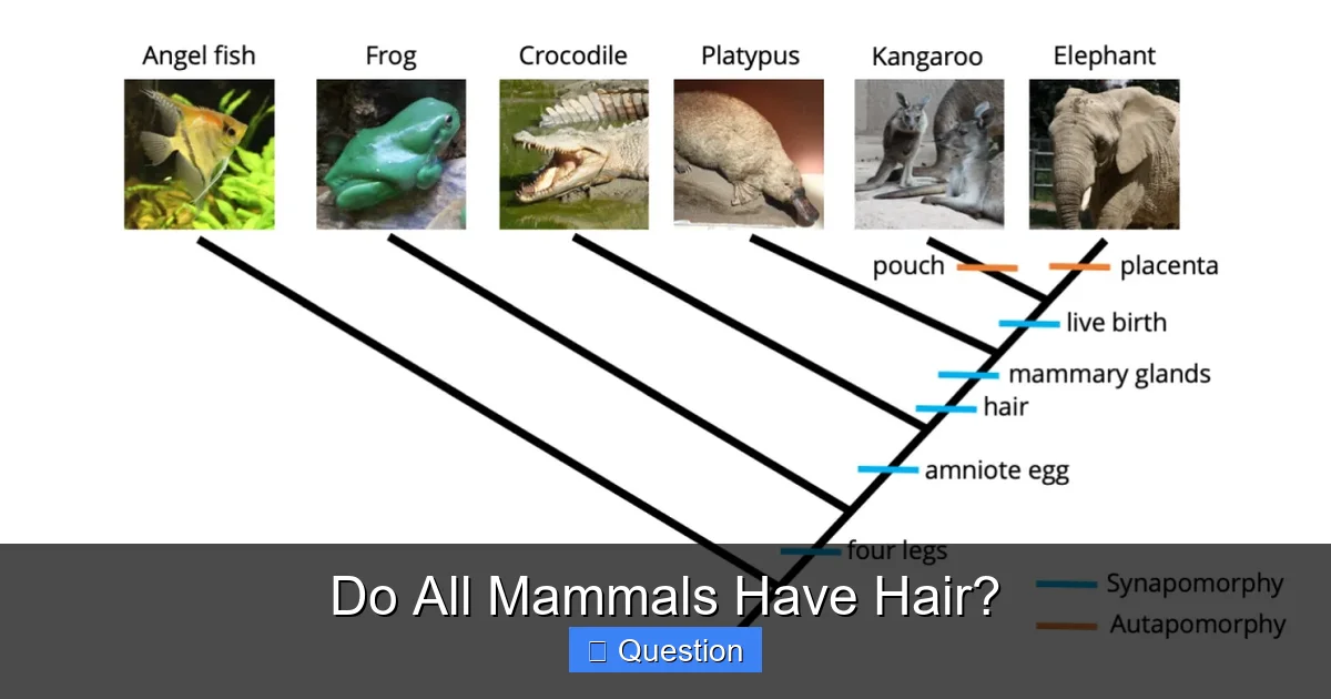 Do All Mammals Have Hair?