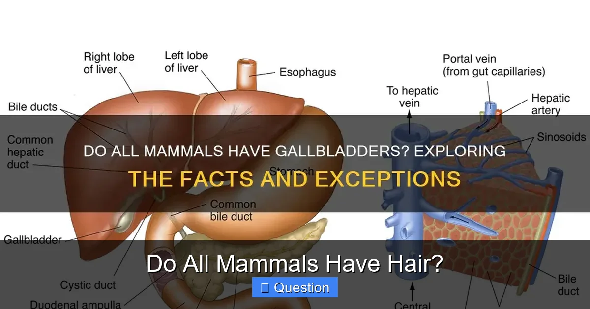 Do All Mammals Have Hair?