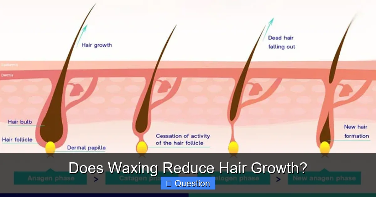 Does Waxing Reduce Hair Growth?