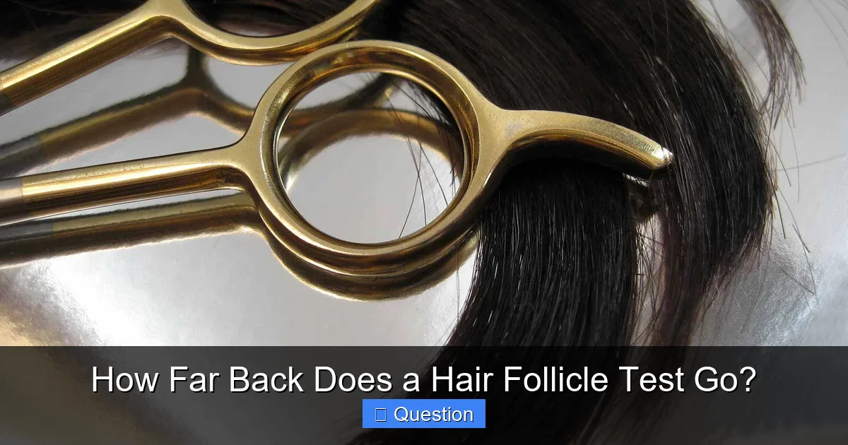 How Far Back Does a Hair Follicle Test Go?