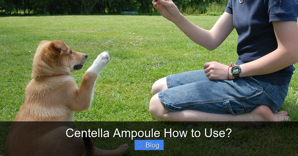 Centella Ampoule How to Use?
