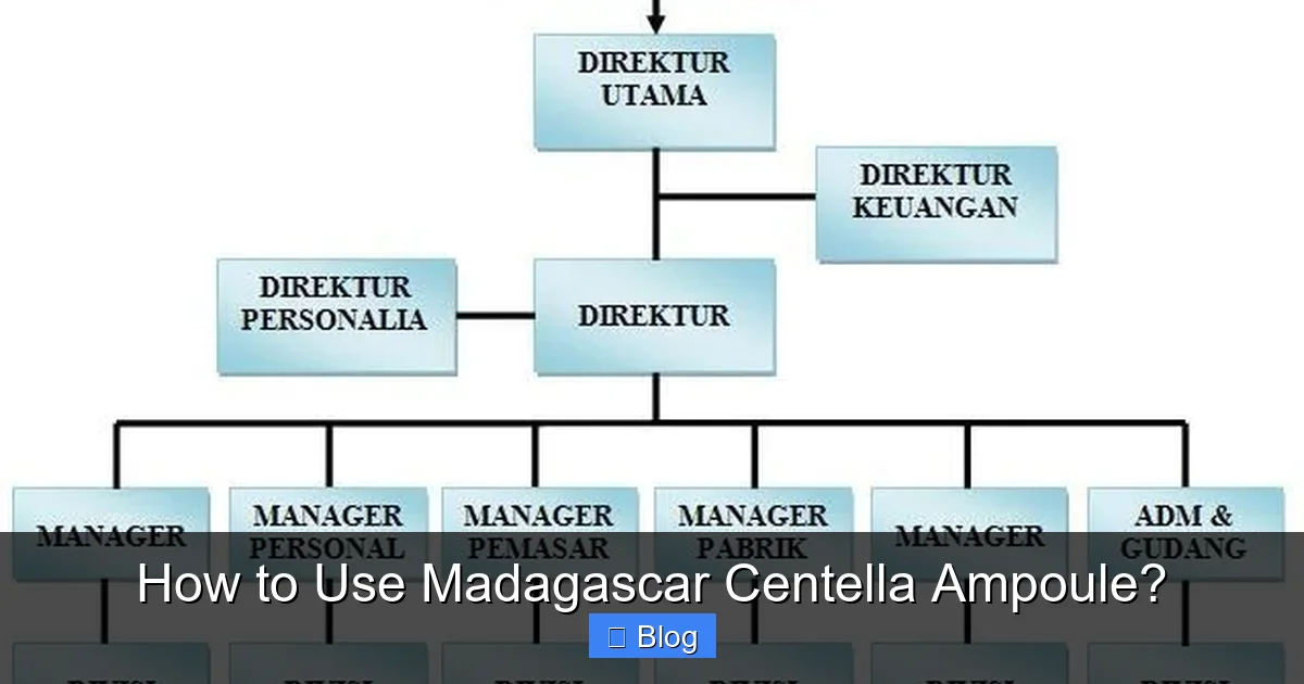 How to Use Madagascar Centella Ampoule?