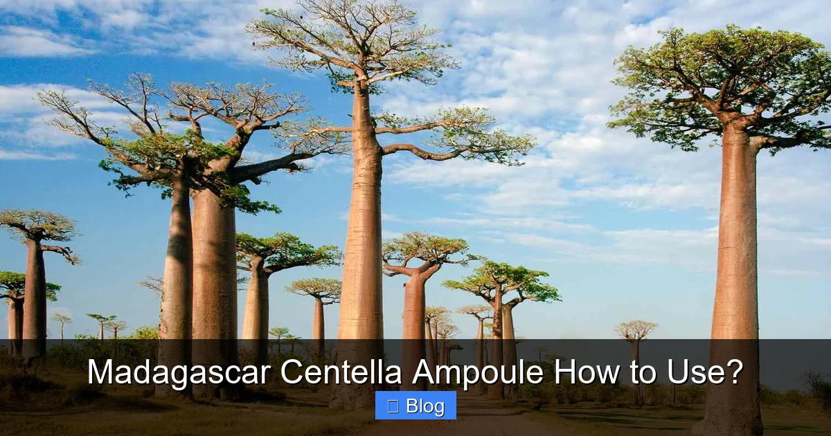 Madagascar Centella Ampoule How to Use?
