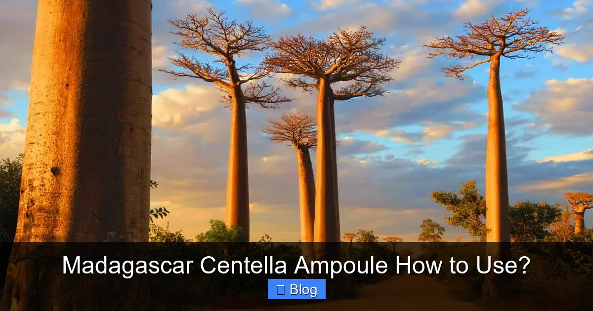 Madagascar Centella Ampoule How to Use?