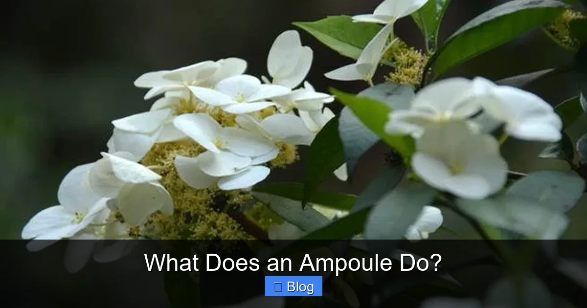 What Does an Ampoule Do?