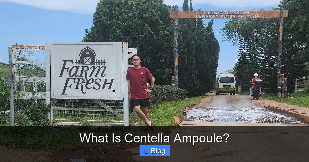What Is Centella Ampoule?