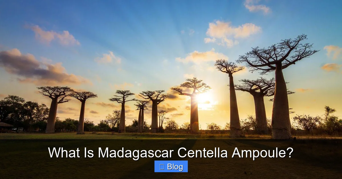 What Is Madagascar Centella Ampoule?