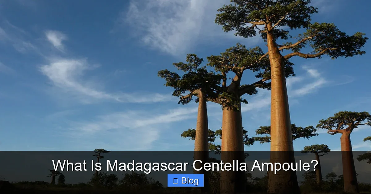 What Is Madagascar Centella Ampoule?