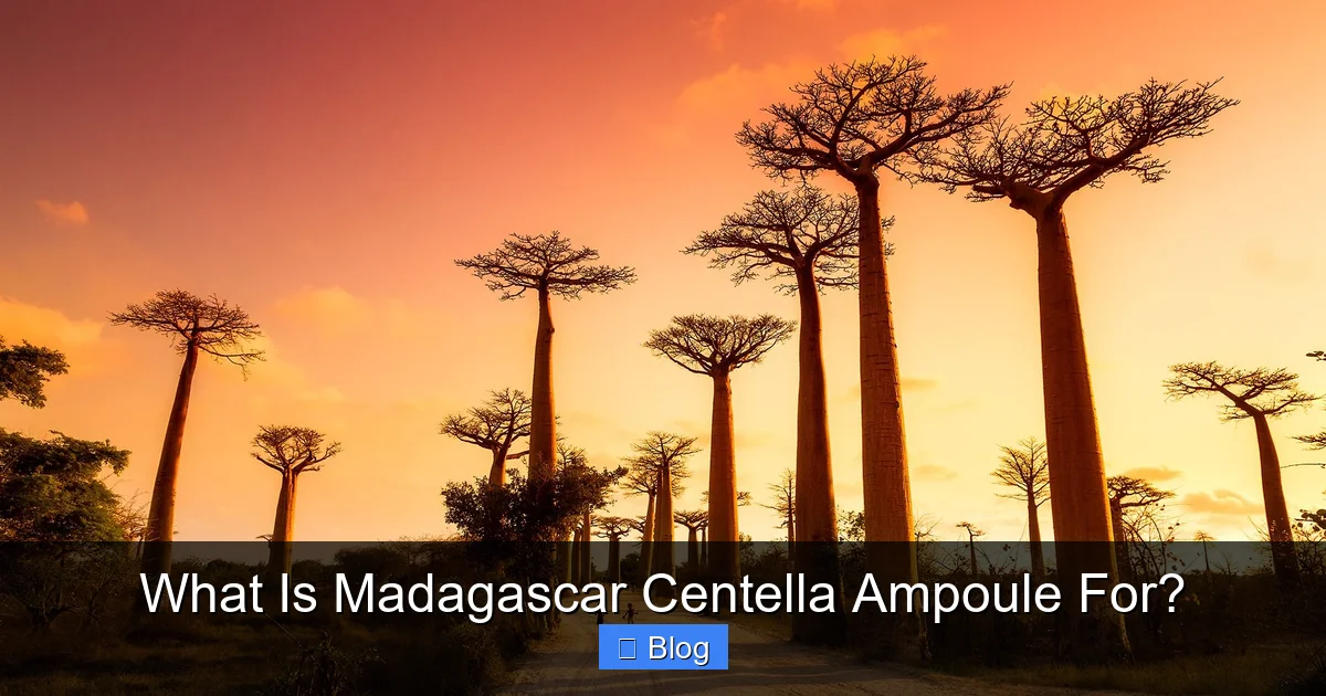 What Is Madagascar Centella Ampoule For?