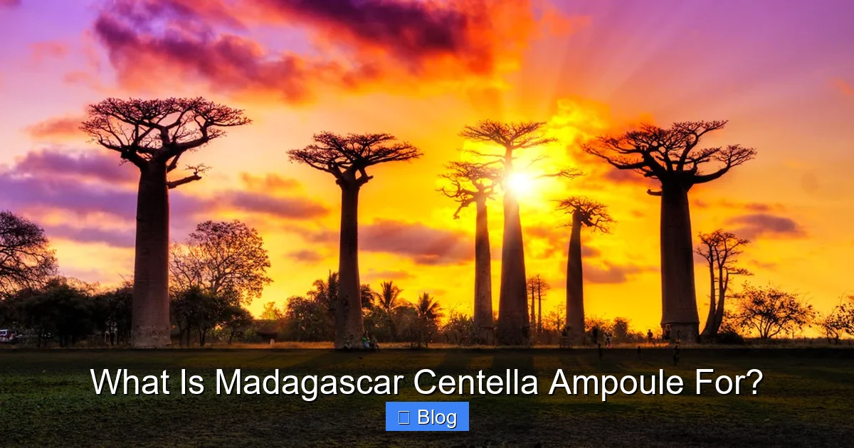 What Is Madagascar Centella Ampoule For?