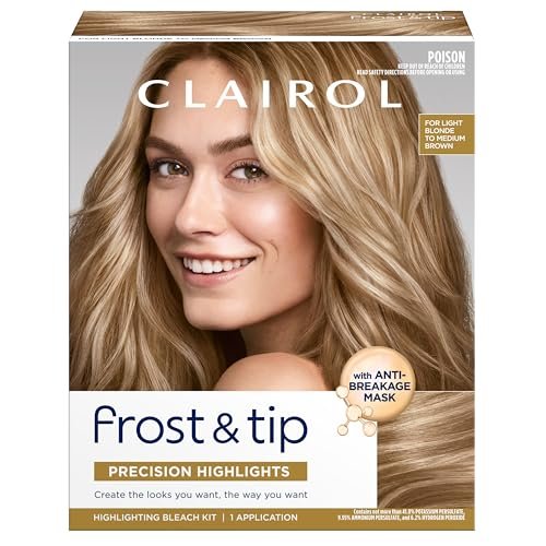 Clairol Nice'n Easy Frost & Tip Hair Dye Kit